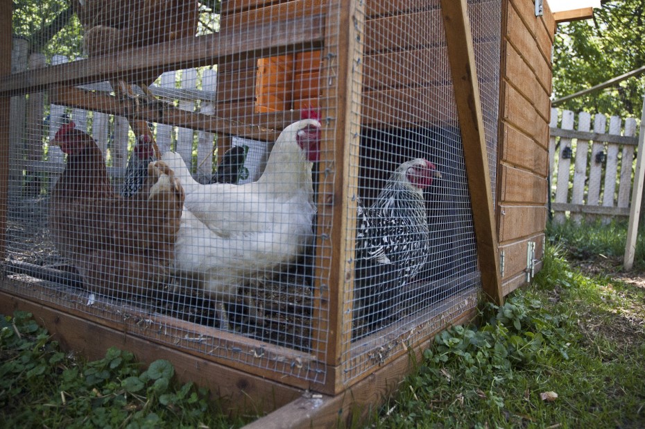 Woodworking Craft Leftovers Building a quick gate! Craft Leftovers