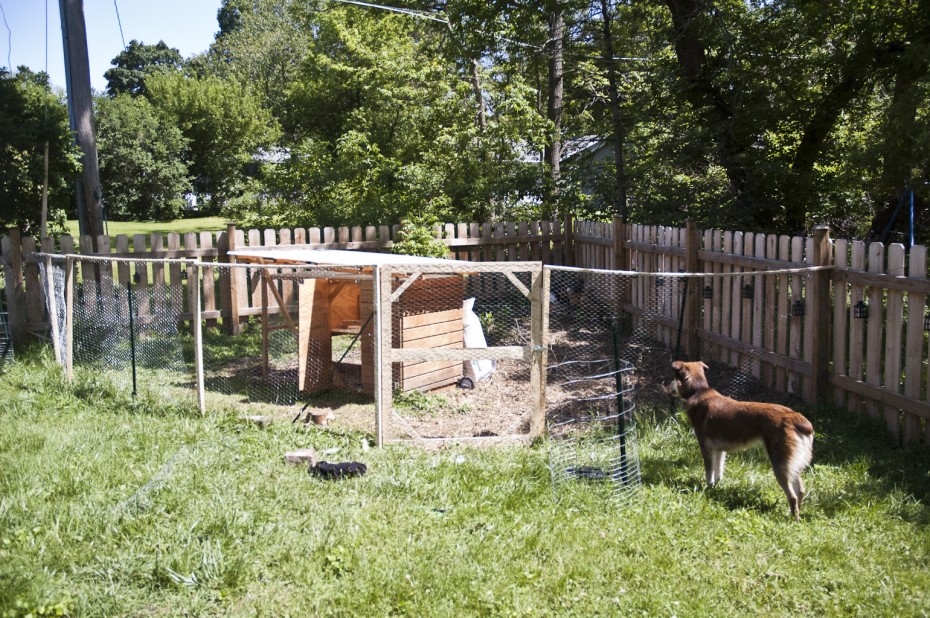Woodworking Craft Leftovers Building a quick gate! Craft Leftovers