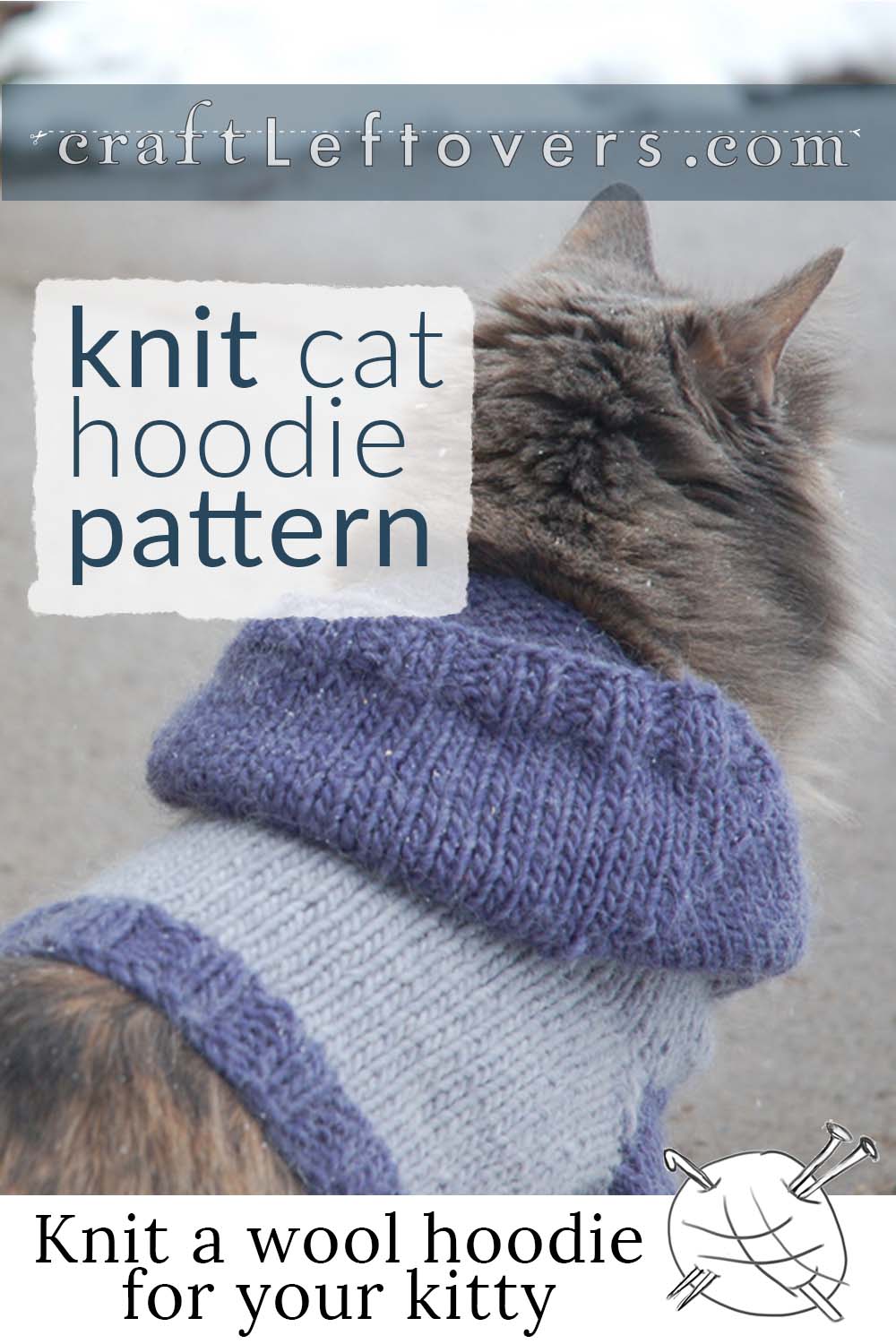 Kitty hoodie for outlet cats