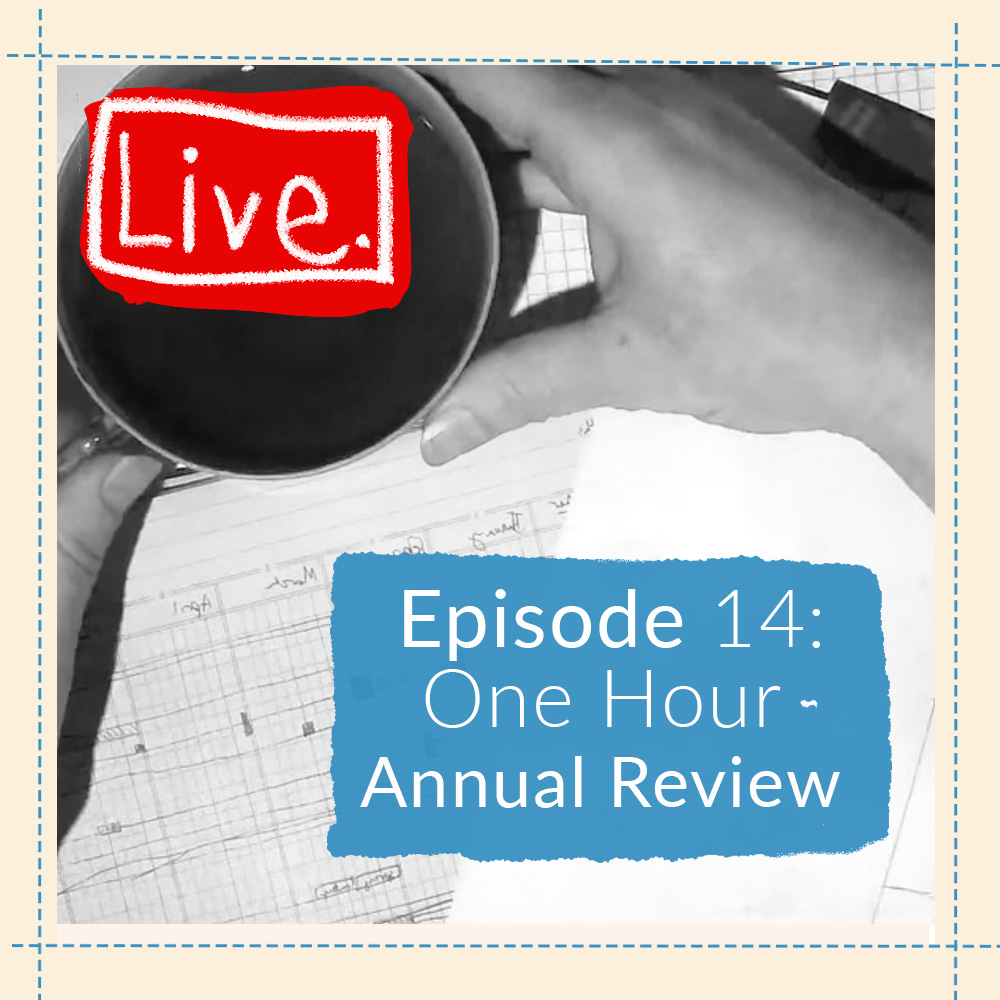 Ep 14: Annual Review in an Hour
